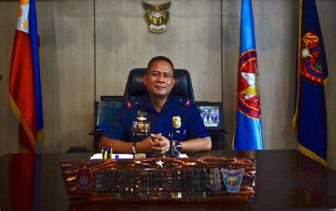 Vicente Danao is new acting PNP chief .